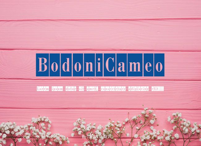 BodoniCameo example