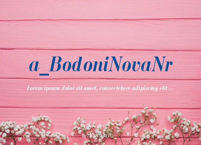 a_BodoniNovaNr example