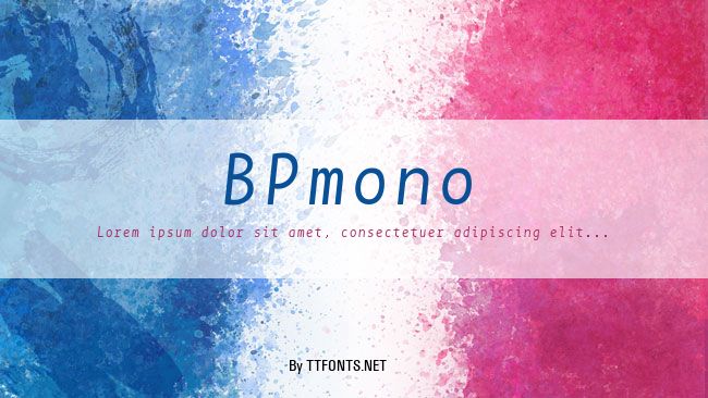 BPmono example