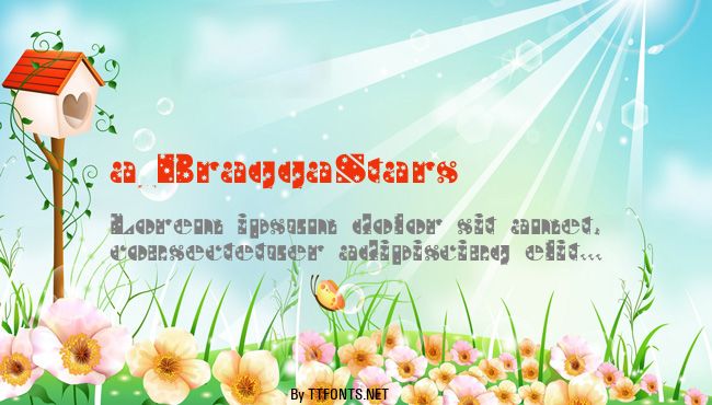 a_BraggaStars example