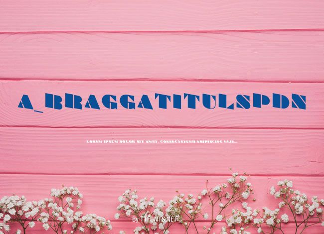 a_BraggaTitulSpDn example