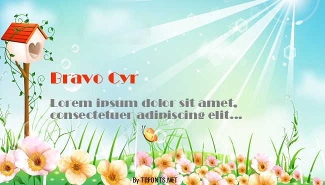 Bravo Cyr example