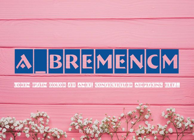 a_BremenCm example
