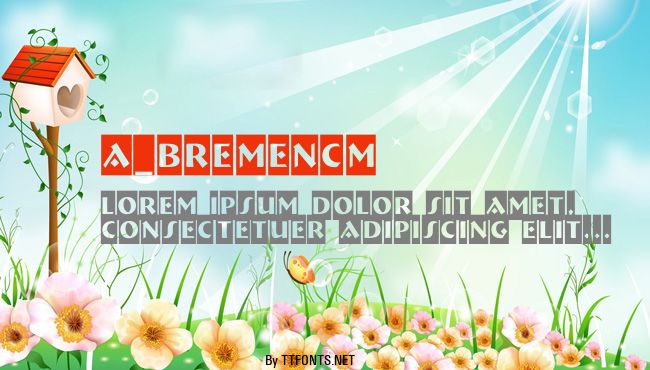 a_BremenCm example