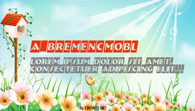a_BremenCmObl example
