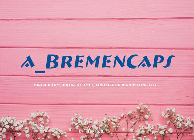 a_BremenCaps example