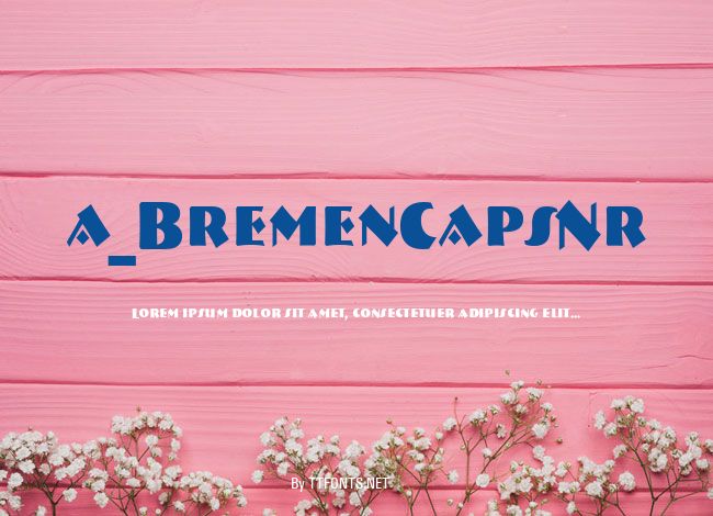 a_BremenCapsNr example