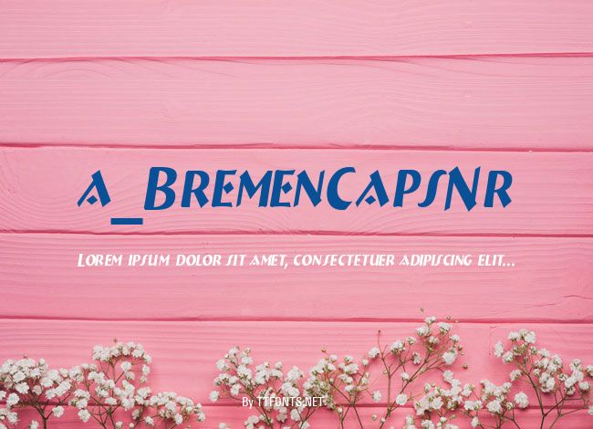a_BremenCapsNr example