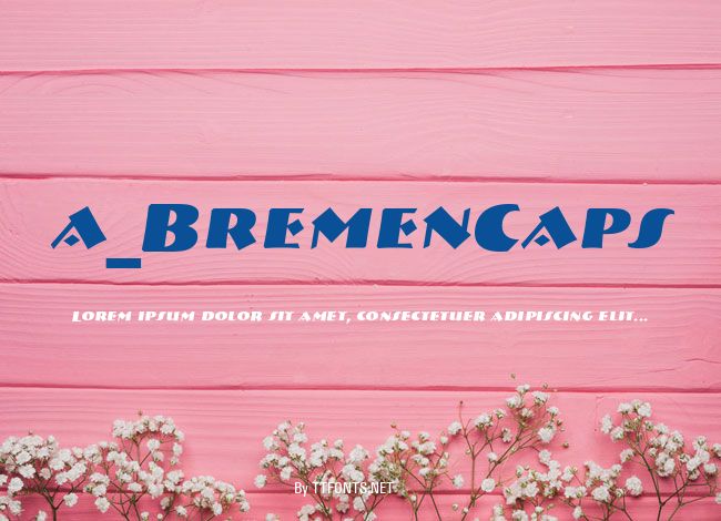 a_BremenCaps example