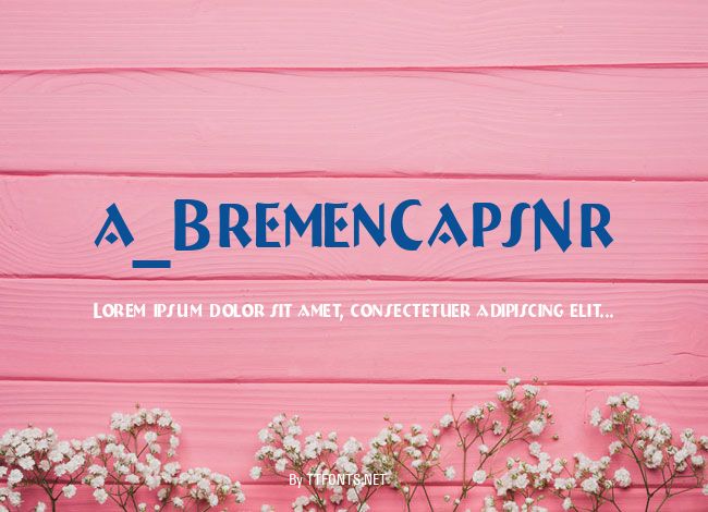 a_BremenCapsNr example