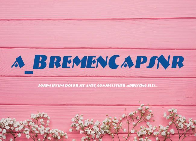 a_BremenCapsNr example
