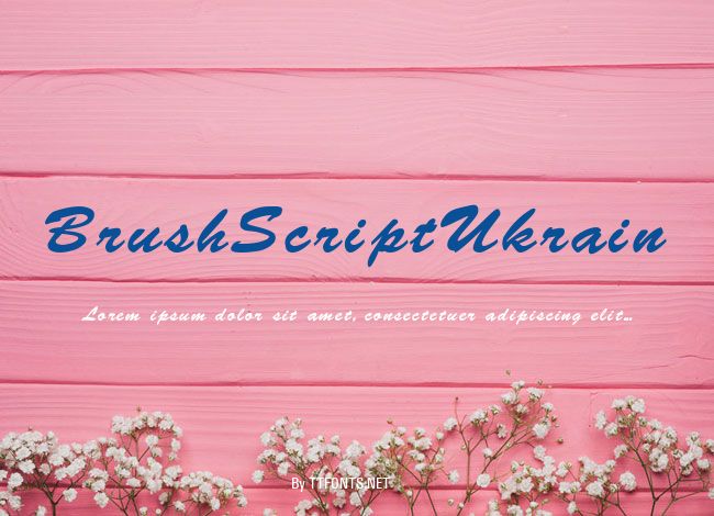 BrushScriptUkrain example