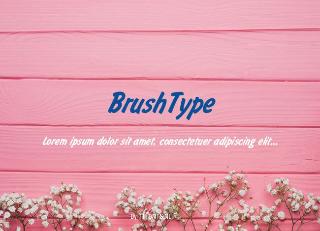 BrushType example