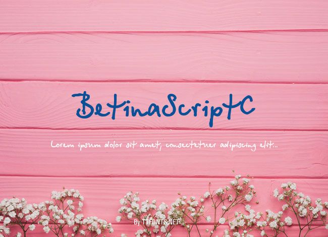 BetinaScriptC example