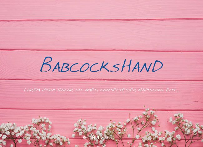 BabcocksHand example