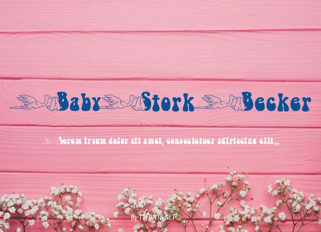 BabyStork Becker example