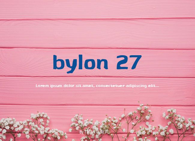 bylon 27 example