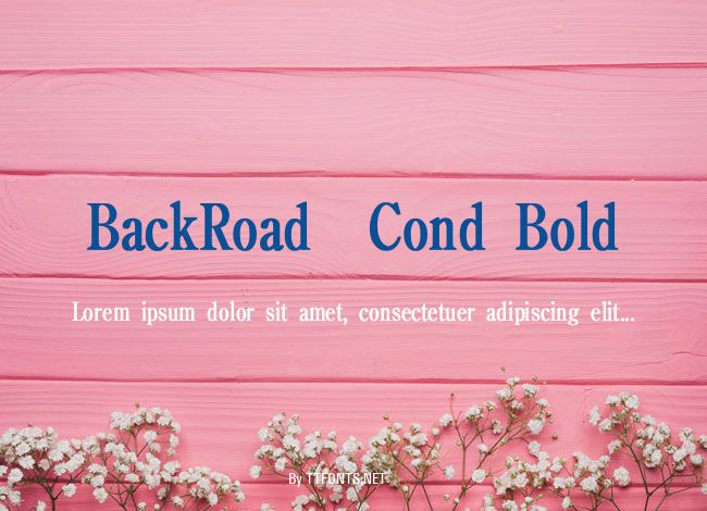 BackRoad  Cond Bold example