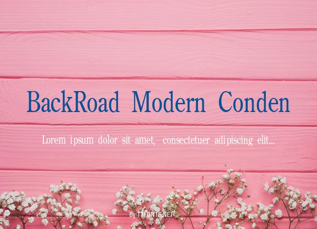 BackRoad Modern Conden example