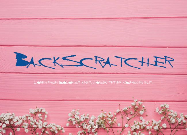 BackScratcher example