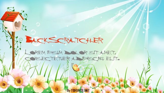 BackScratcher example