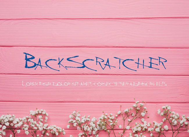 BackScratcher example