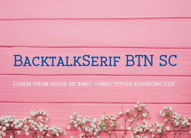 BacktalkSerif BTN SC example