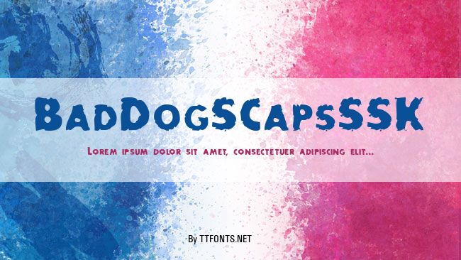 BadDogSCapsSSK example