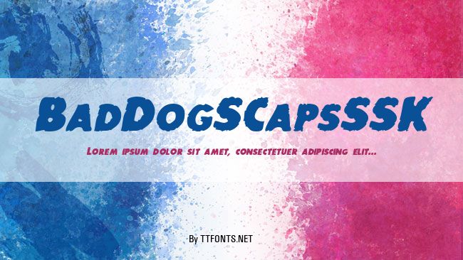BadDogSCapsSSK example