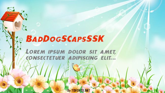 BadDogSCapsSSK example