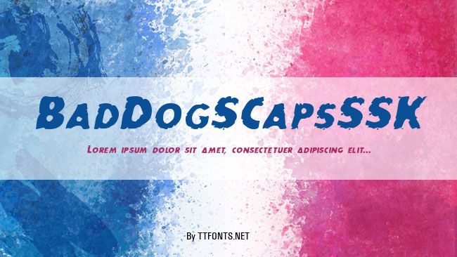 BadDogSCapsSSK example