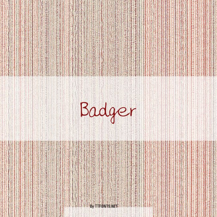 Badger example