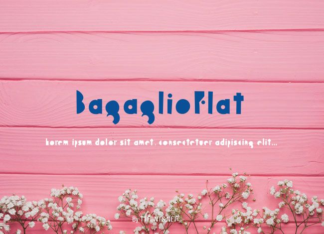 BagaglioFlat example