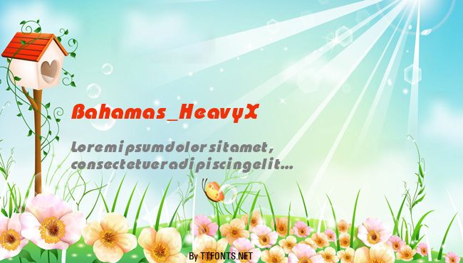 Bahamas_HeavyX example