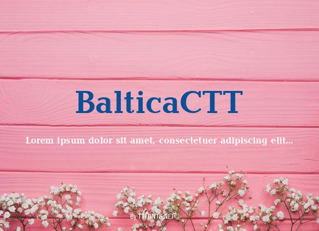BalticaCTT example