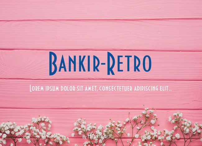 Bankir-Retro example