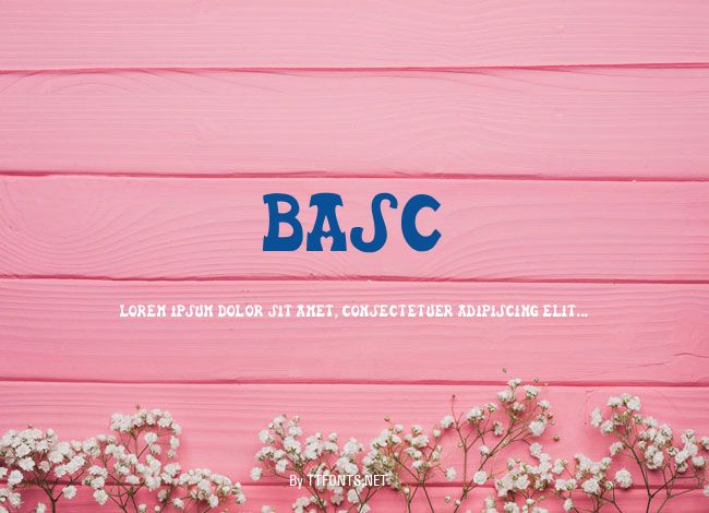 Basc example