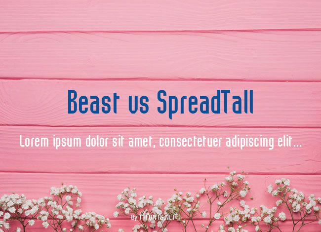 Beast vs SpreadTall example