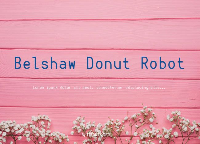 Belshaw Donut Robot example