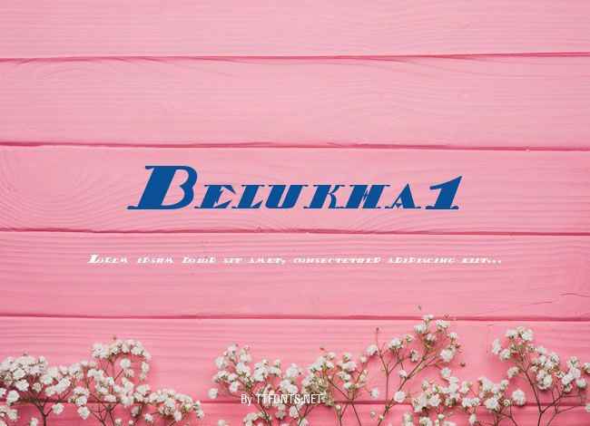 Belukha1 example