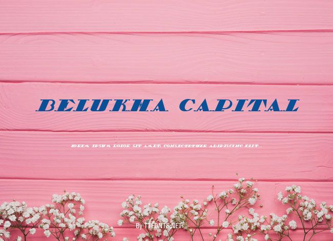 Belukha Capital example