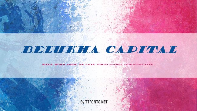Belukha Capital example