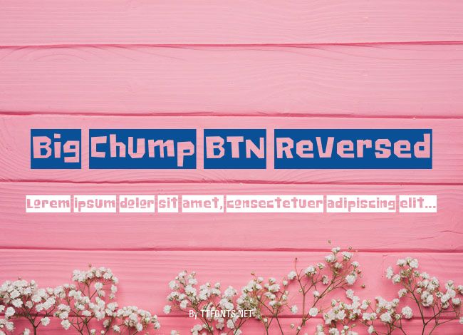 Big Chump BTN Reversed example
