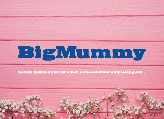 BigMummy example