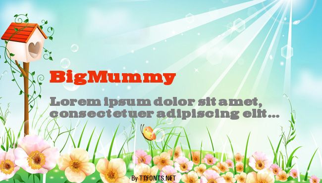 BigMummy example