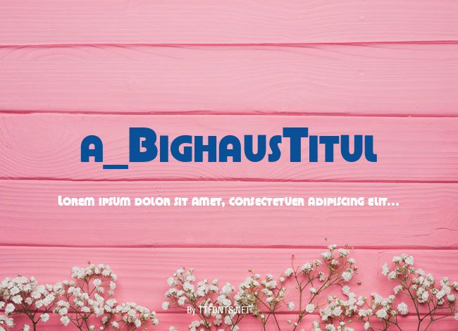 a_BighausTitul example
