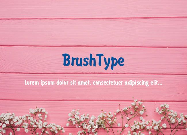 BrushType example