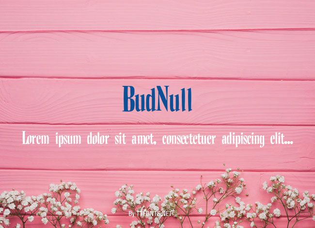 BudNull example