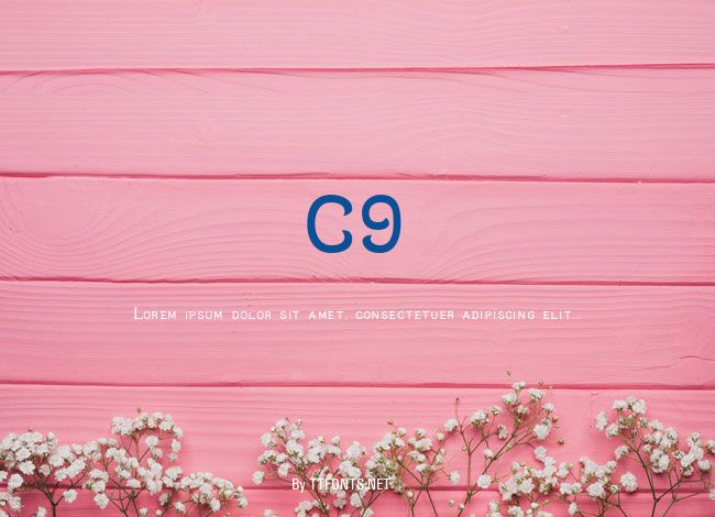 C9 example