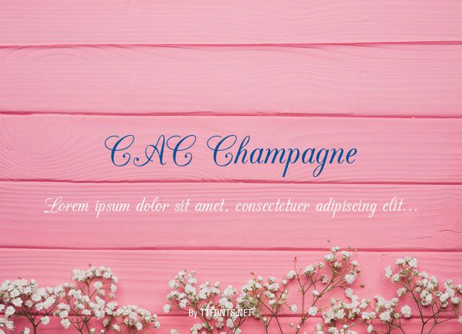 CAC Champagne example